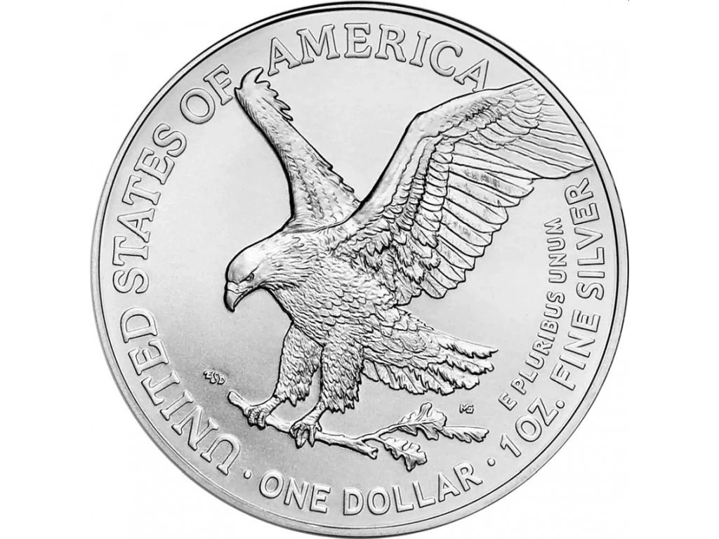 Stříbrná mince 1oz American Eagle - I Vote Today